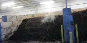 Compost pile in composting bay at Arlington facility