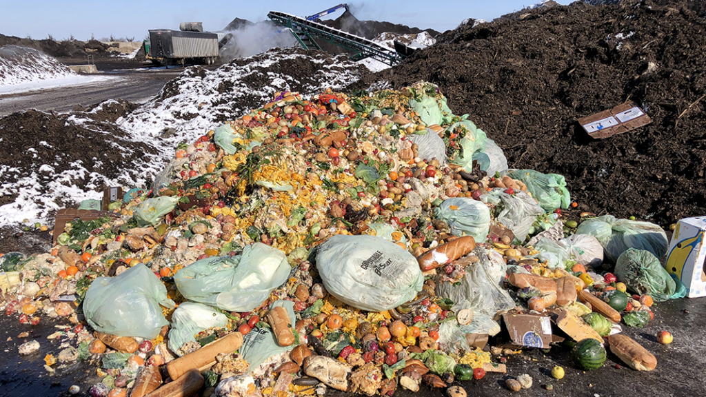 Photo of a pile of food waste