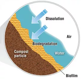 Compost particle biofilm diagram