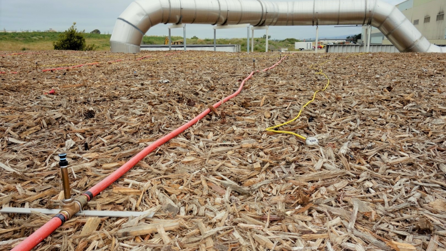 biofilter irrigation and temperature probe