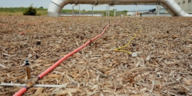 biofilter irrigation and temperature probe
