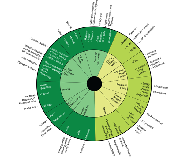 the odor wheel