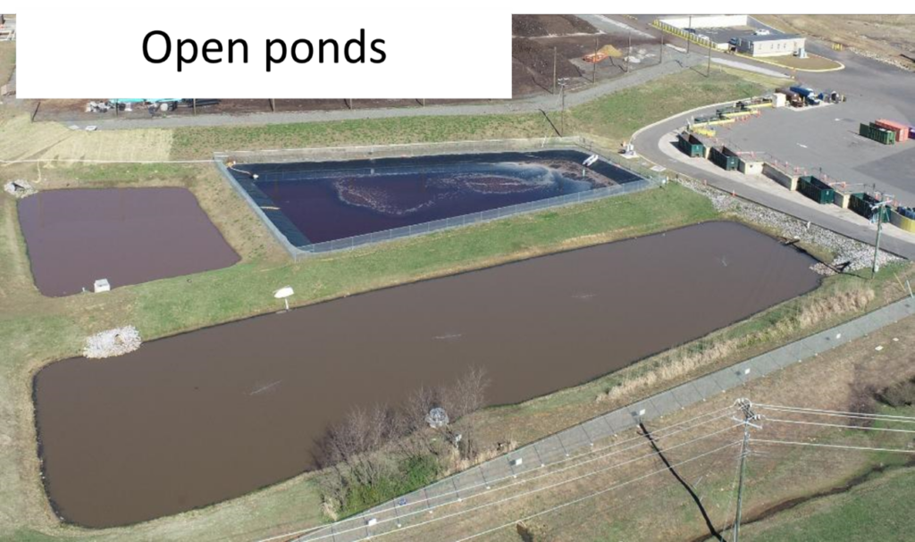 open pond